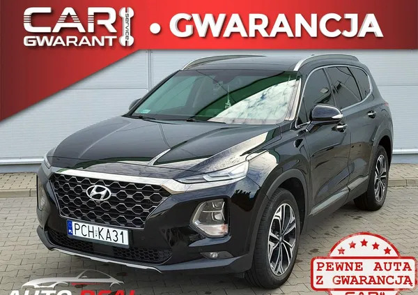 hyundai Hyundai Santa Fe cena 139900 przebieg: 44100, rok produkcji 2020 z Świecie